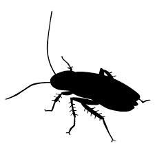 Control de Insectos